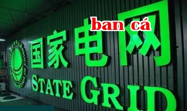Trung tâm Điều độ Điện lực của một tỉnh thuộc Tập đoàn Điện lực Quốc gia